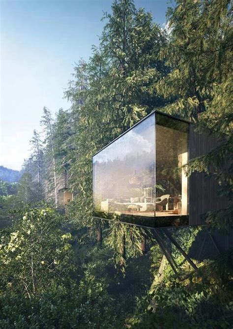Glass And Cliff House Architecture Concept Homemydesign