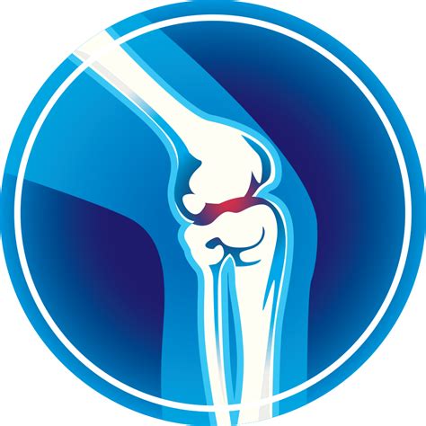 Knee Joint Clip Art