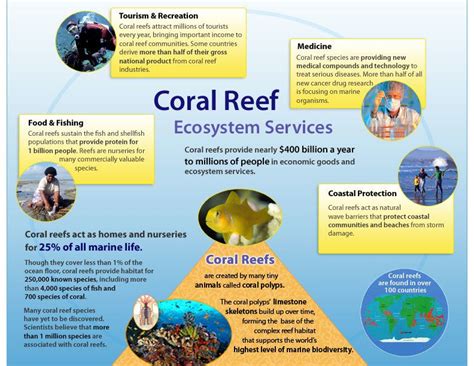 Why Care About Coral Reefs Reefquest With Images Coral Reef