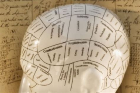 Scientists Unveil The Most Comprehensive Map Of Human Brain