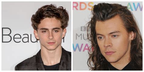 Why The Timothée Chalamet And Harry Styles Interview Is So Important Imageie