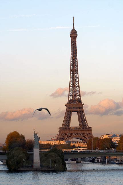 Lie in the grass at the champs de mars and gaze up. Tower and seagull - Eiffel Tower | France in Photos