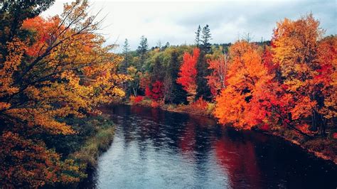 Spectacular Fall Foliage Autumn In Sudbury Ontario Canada Youtube