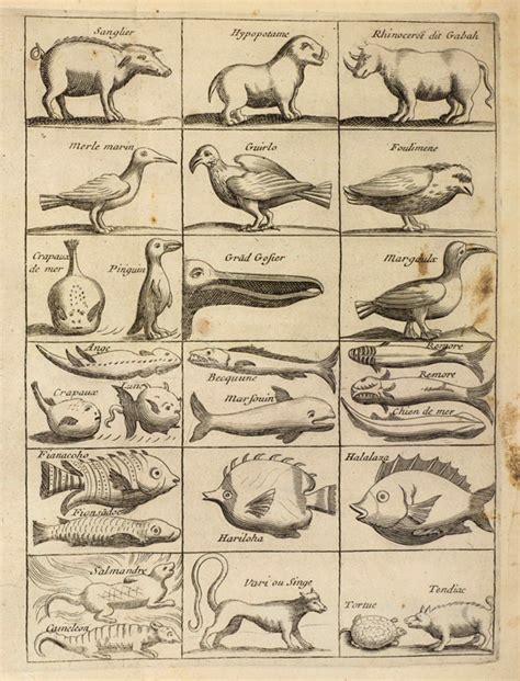 Natural Histories 500 Years Of Rare Scientific Illustrations From The