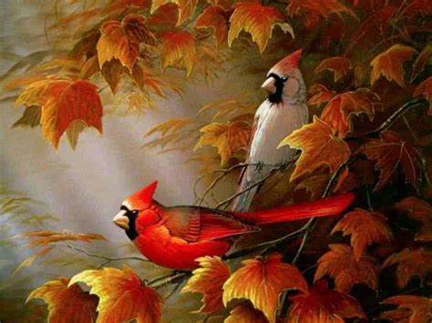 Fall Screensavers The Free Autumn Cardinals Wallpaper