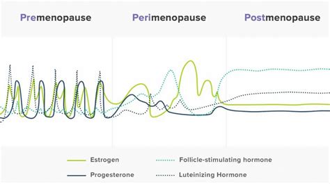 Perimenopause The Hormonal Roller Coaster