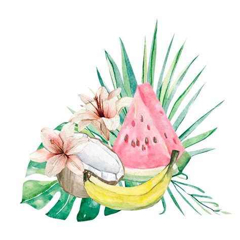 Watercolor Illustration Of Tropical Leaves And Banana Coconut