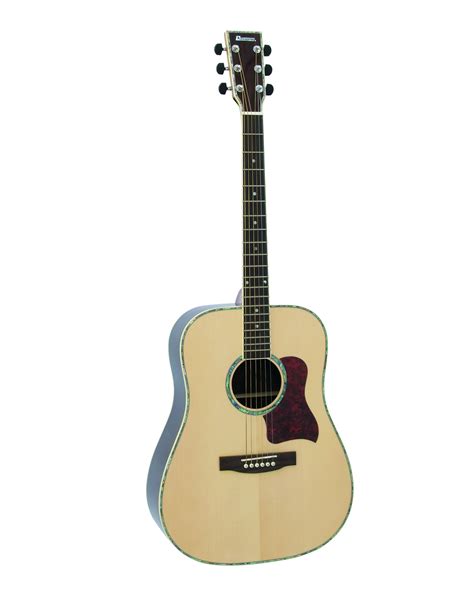 Dimavery Stw25 Western Guitar Acoustic Guitars