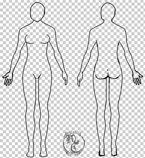 Female Body Shape Human Body Diagram Drawing Woman Png Clipart