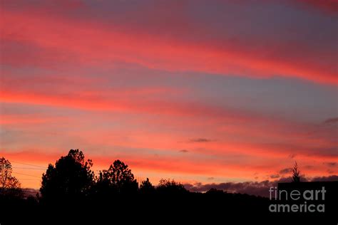 Georgia Sunset Photograph By Michael Waters Fine Art America