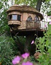 Happy Second Birthday! To “The Conservative Tree House” | The Last Refuge