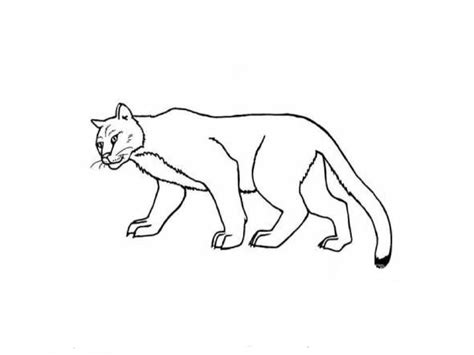 Coloriages à Imprimer Animaux Carnivores Numéro Ac7e1028