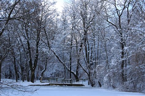 Bäume Im Winter Foto And Bild Landschaft Jahreszeiten Winter Bilder