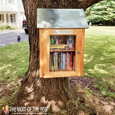 How To Start A Little Free Library In Your Yard The Mom Of The Year