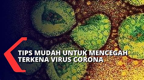 Virus corona adalah jenis virus yang menyebar sangat cepat bahkan sudah mewabah hingga ke banyak negara di dunia. Cara Mencegah Penularan Virus Corona