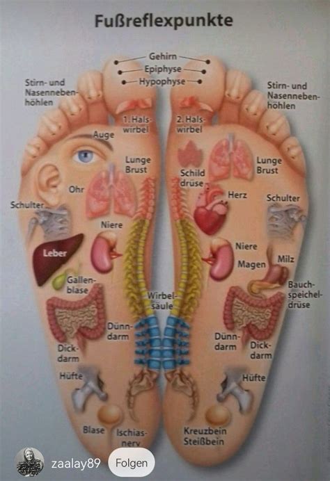 Foot Reflexology Massage Reflexology Foot Chart Foot Massage Stone