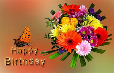 Fødselsdato Tillykke Med Gratis Billeder På Pixabay