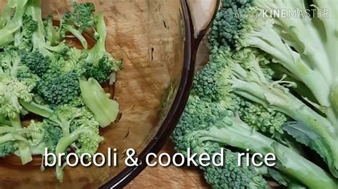 9 month old baby food chart is usually considered to be restricted to certain boring options. Healthy food for 9 months old baby Brocoli & Cooked Rice ...