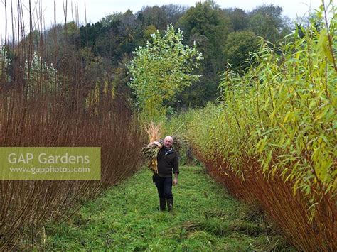 Gap Gardens Woven Willow Structures Feature By Nicola