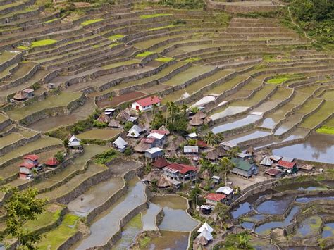 The 8th Wonder Of The World The Banaue Rice Terraces In The Philippines