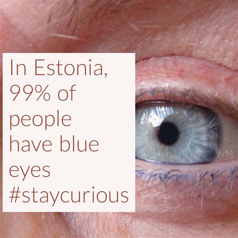 Estonia People Eyes Mark Setape2010