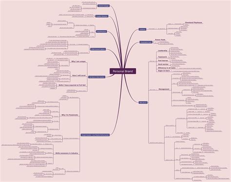 Personal Brand Xmind Mind Mapping Software