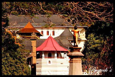Kandy Sri Lanka Exploring The Sacred City Thetravelshots