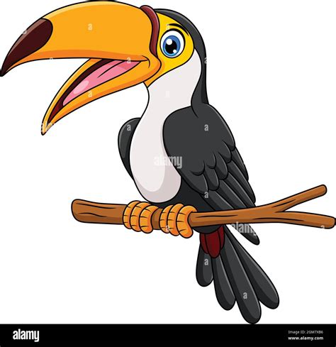 Cute Toucan Bird Cartoon Vector Illustration Stock Vector Image And Art