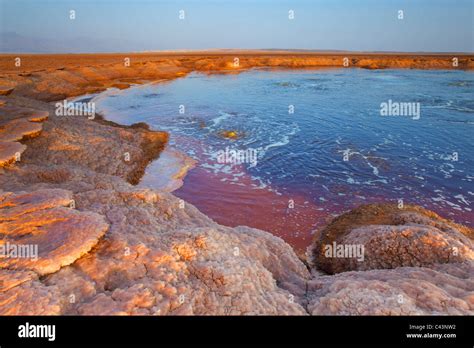 Dallol Yellow Lake Lafrique LÉthiopie Région Afar Afgar Danakil