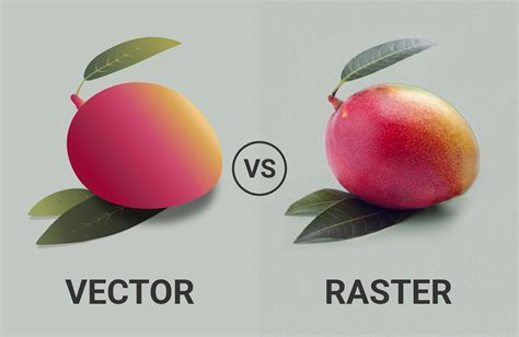 Vector Vs Raster Graphics Whats The Difference Raster Vs Vector