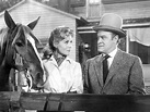 Alias Jesse James (1959) - Turner Classic Movies