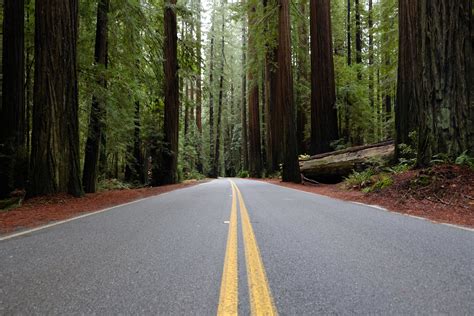 Best Northern California Coast Road Trip 5 Day Driving Itinerary