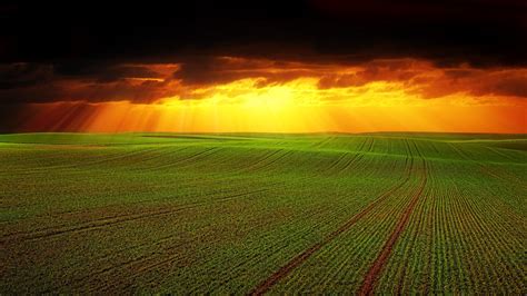 Field Clouds Horizon Grass Agriculture Clouds Picture Photo