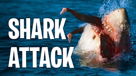 Sharks Attacking People Compilation Youtube