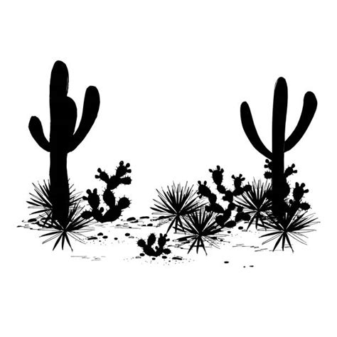 Black And White Cactus Illustrations Royalty Free Vector Graphics