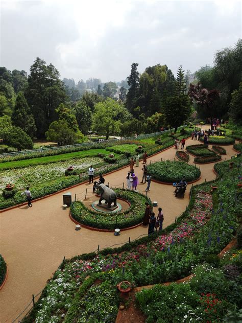 Ooty Botanical Garden Tamil Nadu