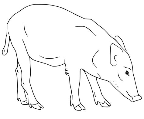Boars Head Coloring Page Free Printable Coloring Pages For Kids