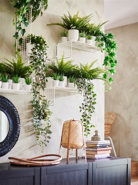 Indoor Plants And Flowers Ikea