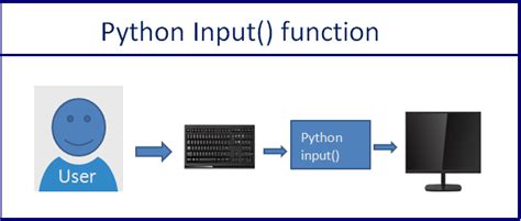 Python Input Take Input From User Guide