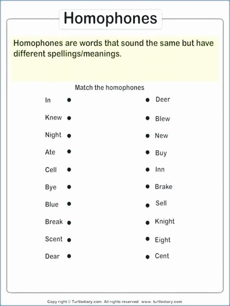 Homophones Homographs Homonyms 19 Worksheets With Answers Why Was The