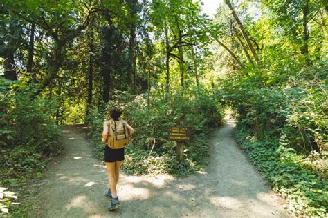 Exploring Tryon Creek State Natural Area In Portland 2023