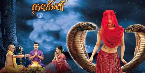 So, nagini 2 tamil will be released in sun tv soon. Nagini 2 Tamil Telecast Rights (naagin Hindi Season 2 ...