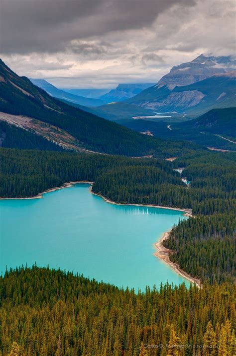 Peyto Lake Banff National Park In The Canadian Rockies By Carlos D