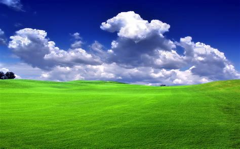 Download Grass Nature Wallpaper By Carlaatkinson Natural View