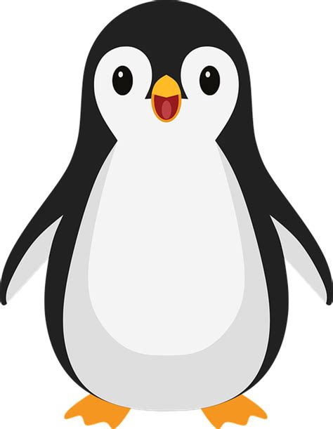 Download Penguin Bird Cartoon Royalty Free Vector Graphic Pixabay