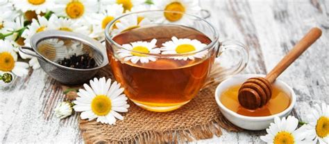 Camomile Tea Benefits Side Effects Kent Tea Coffee Co