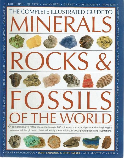 The Complete Illustrated Guide To Minerals Rocks And Fossils Of The