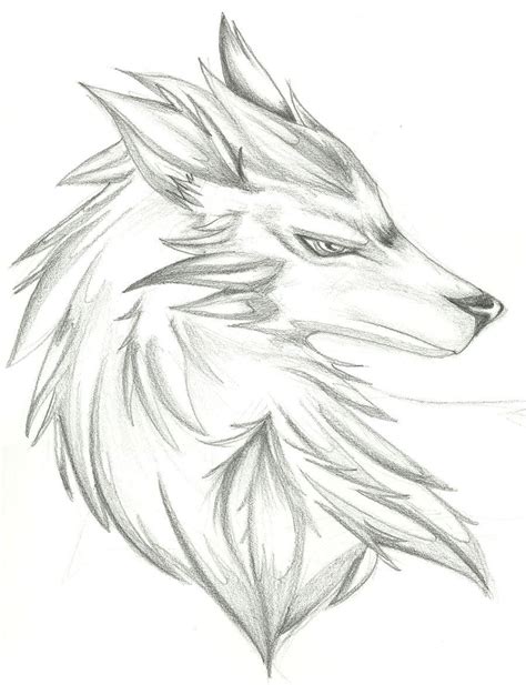 Pin By Halliekate Briggs On Good Views Wolf Head Drawing Wolf Sketch