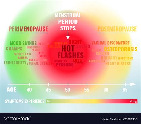 Stages Of Menopause Infographic Royalty Free Vector Image
