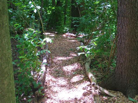 Trends For Woodland Garden Paths